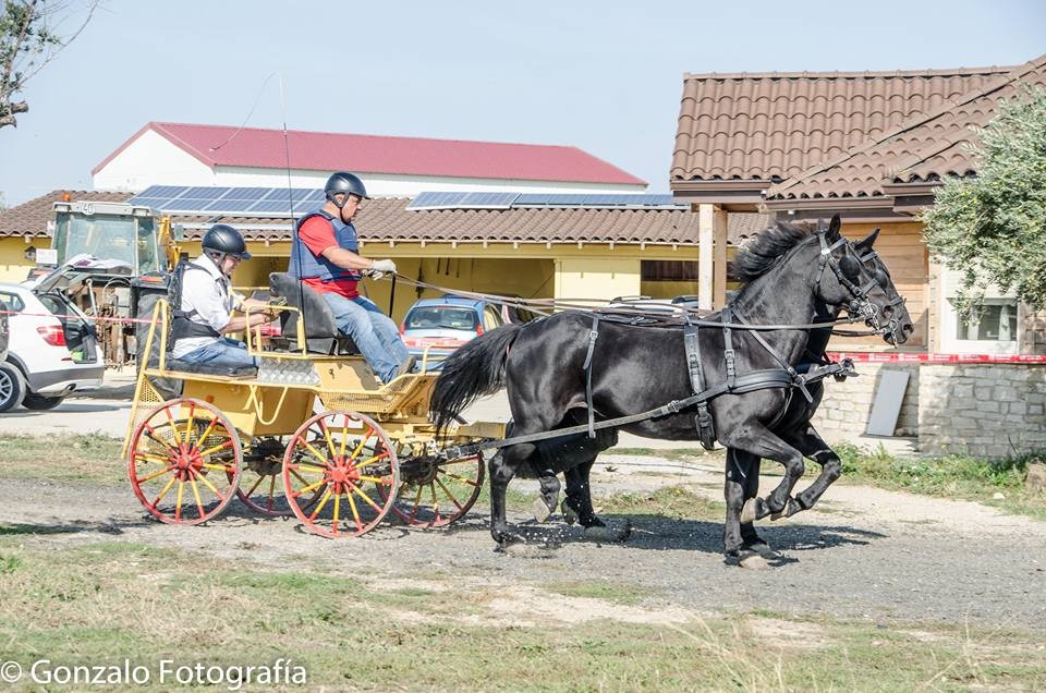 David Aramendía y Carmen Goiburu, Campeones Navarros de Enganches Completo en Troncos y Limoneras